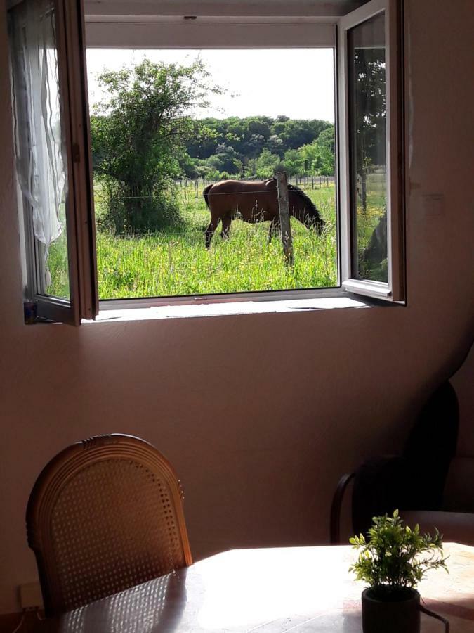 Maison De Charme Villa Cellettes  Eksteriør billede